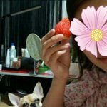 딸기 앞 <b>아련</b>한 개.jpg