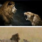 유부남의 <b>일생</b>.jpg