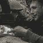 <b>라바</b>의 무서운 이야기(단편) 12