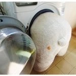 <b>곰인형</b> 선물......... 저도 별로예요