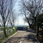 성동구 살곶이 지하<b>보도</b> 근처에서 개를 주웠습니다.