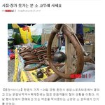 <b>시집</b> 못간사람~