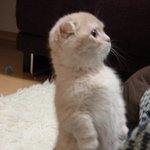 오늘은 인증이 대세? 읭?