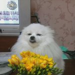 음...<b>봄이</b>왔군