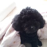 <b>미용</b>스타일 안어울려요