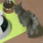 <b>라바</b>의 무서운 이야기(단편) 16