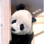 으미...다들 어디로 <b>이주한</b>거임??? ㅇㅇ