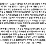 대륙의 일지매 - 대륙에선 흔하지 않는 <b>의협</b>