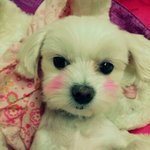 낳을때마다 왜 기형일까요...