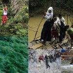 목숨을 걸어야 하는 등<b>하교</b>길.jpg