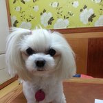 저희 찐좀  돌려주세요 제발...
