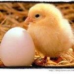 오늘은 부활주일...ㅋㅋㅋ