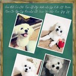 곰돌이 <b>콩알</b> <b>콩알</b> <b>콩알</b>