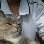 [김괭] 소심하게 투척하고 <b>도망</b> =3=3=====3333