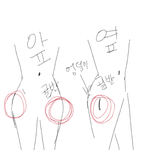 여기 엉덩이있는곳  <b>뼈</b>이거뭐죠?