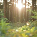 성시경, 이니스프리 <b>CF</b> 모델되다??!!