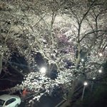 백수에 솔로니까