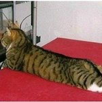 <b>라바</b>의 무서운 이야기(단편) 20