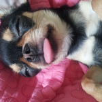 *.*다들 아직도 아기로 착각하는 울집<b>숙녀</b>들!