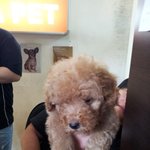 우리 겸둥이 자랑..