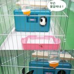 [반려토끼] "간지"를 소개해 드립니다. 3