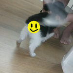개신 <b>and</b> 주신
