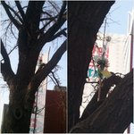 톡커님들은 운명을 믿으시나요..?