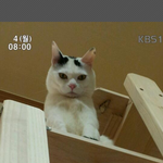 김용배씨언제<b>오시</b>나염??ㅠ