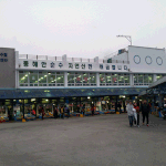 [사진有] 들뜨고 <b>신난</b> <b>마음</b>으로 속초여행 중, 회 시장에서...