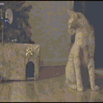 [냥] 특별사면.<b>gif</b>