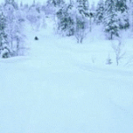 이야 씽난....<b>gif</b>