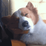 출입문 닫습니다.<b>gif</b>