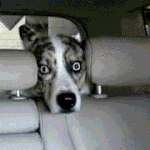 아 <b>씨x</b> 자다 일어나니까 종점