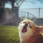 <b>라바</b>의 무서운 이야기(단편) 23