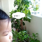 지금 <b>바깥</b>은..