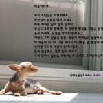<b>무제</b>(어느 오후의 단상)
