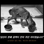 <b>아사</b>직전
