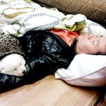 어느날! 갑자기 우리집에 나타난 하얀개구쟁이 우백이이야기