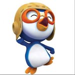 나보다 잘나가는 귀여운 펭귄들ㅠㅠ