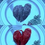 gi 개뻔뻔하닼ㅋㅋㅋㅋㅋㅋㅋ