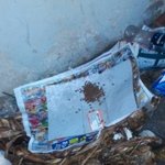 사람들에게 맞아 다리다친 유기견 길돌이 구조했어요 ..