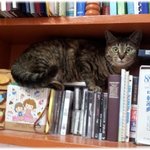 꽁냥꽁냥 김<b>칸쵸</b>3