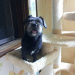 바람잘날없는 우리집은 大식구!!!