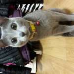 <b>러블</b> 젤리소개드려요