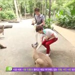 리얼메이트 이종석과 김종현의 캥거루와 사진찍기 ㅋㅋㅋ
