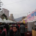 <b>진해</b> 벚꽃나들이 ^^ 아쉽지만 괜찮아~!