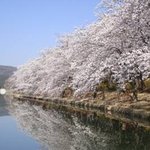 봄철 여행 필수품 다섯개!