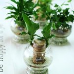 식목일맞이 봄화분으로 기분업 분위기업업 시키기^3^ *집&amp;사무실에...