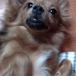 안녕하세요! 만복이 입니다 :^)