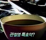 4월5일  먹거리x<b>파일</b> 보셨나요?